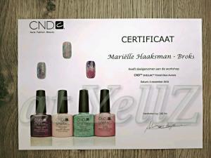 Shellac Trend Class - Aurora