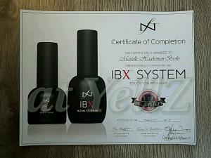 IBX System - Education Program
